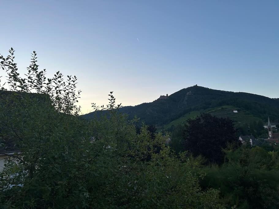 Vue Magnifique Sur Les Chateaux Ribeauvillé Exteriör bild