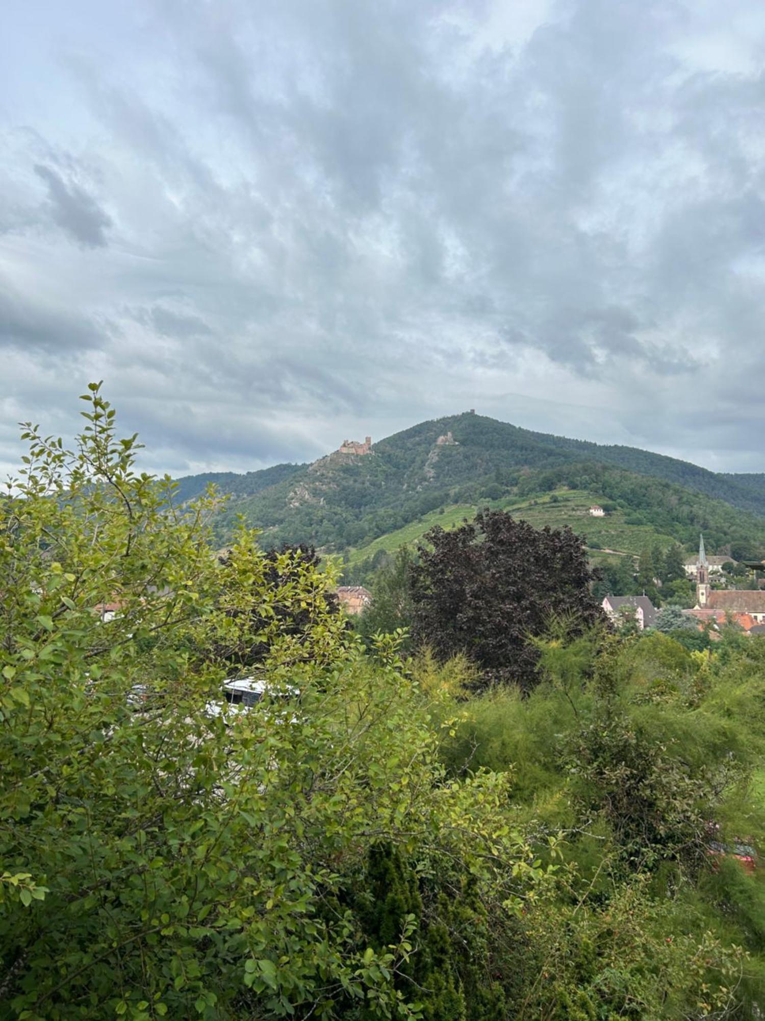 Vue Magnifique Sur Les Chateaux Ribeauvillé Exteriör bild